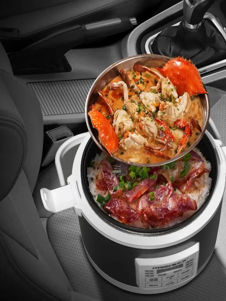 ARIER 12-24V 220V炊飯器 多機能蒸し器 フー - Camping Cooking Basket のレビューと価格